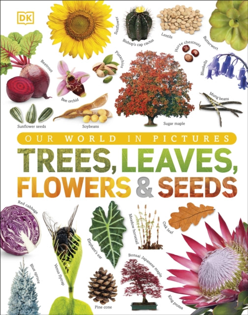 Our World in Pictures: Trees, Leaves, Flowers & Seeds-9780241339923