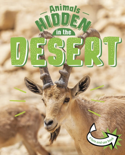 Animals Hidden in the Desert-9781398242401