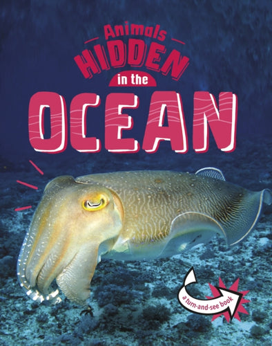 Animals Hidden in the Ocean-9781398242494