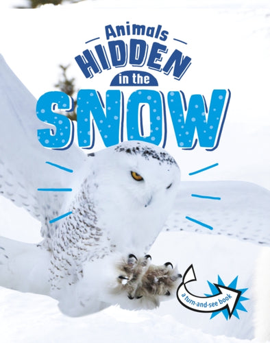 Animals Hidden in the Snow-9781398242531