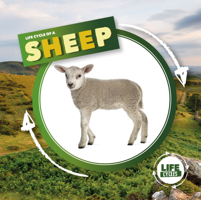 Life Cycle of a Sheep-9781839274756
