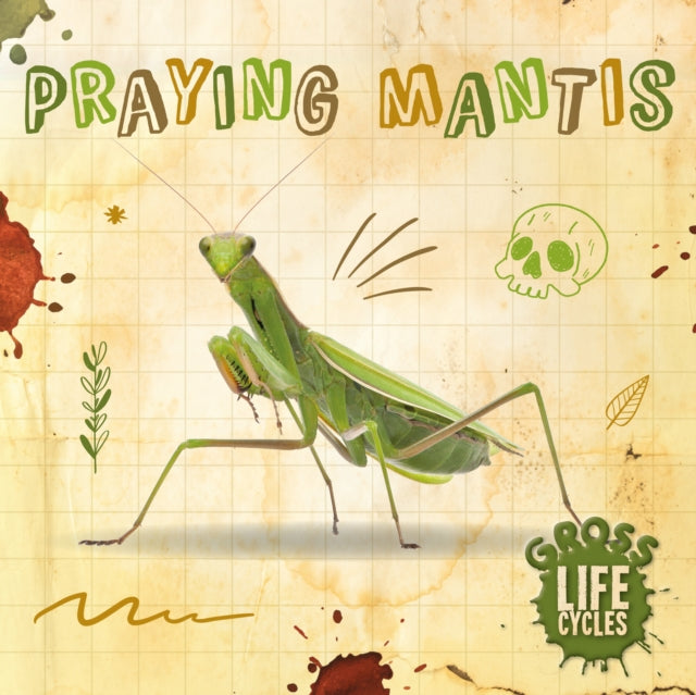 Praying Mantis-9781839274817