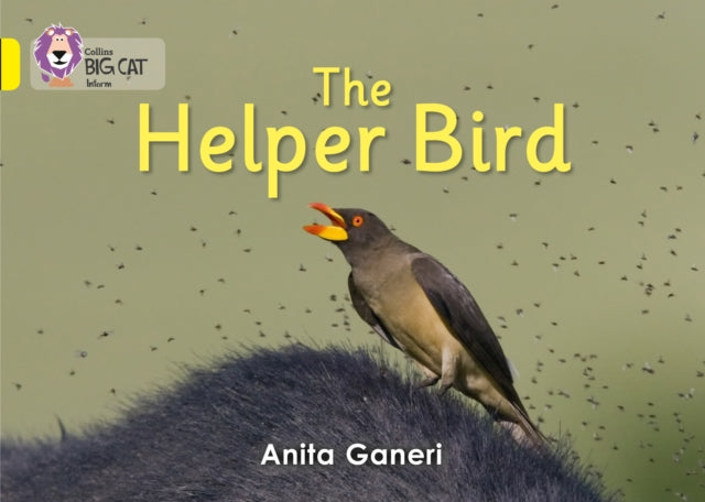 Helper Bird : Band 03/Yellow-9780007412945