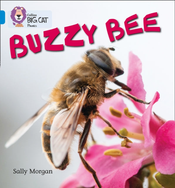 Buzzy Bees : Band 04/Blue-9780007507856