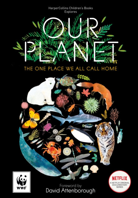 Our Planet : The One Place We All Call Home-9780008180317