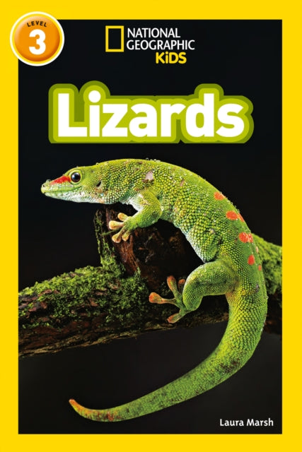 Lizards : Level 3-9780008266738