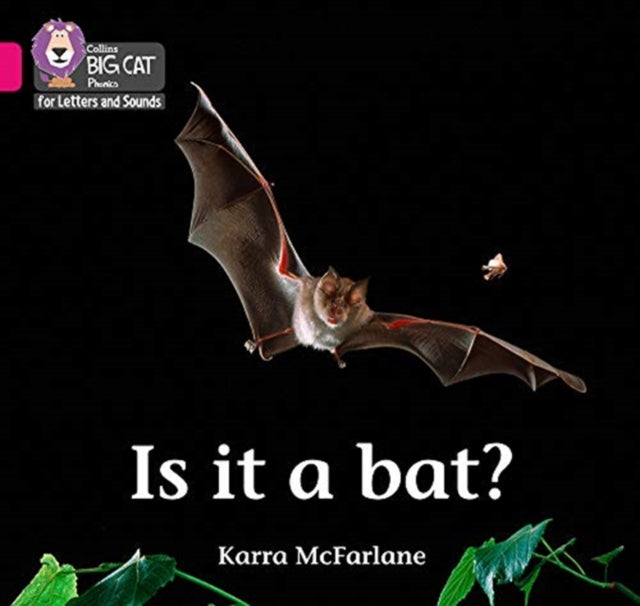 Is it a Bat? : Band 01b/Pink B-9780008351915