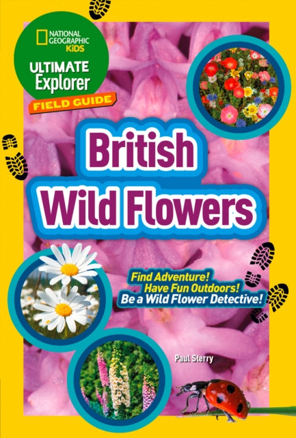 Ultimate Explorer Field Guides British Wild Flowers : Find Adventure! Have Fun Outdoors! be a Wild Flower Detective!-9780008374532