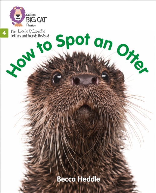 How to Spot an Otter : Phase 4-9780008502645