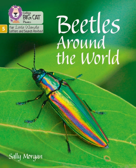 Beetles Around the World : Phase 5-9780008504755