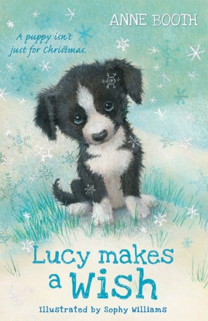 Lucy Makes a Wish-9780192772480