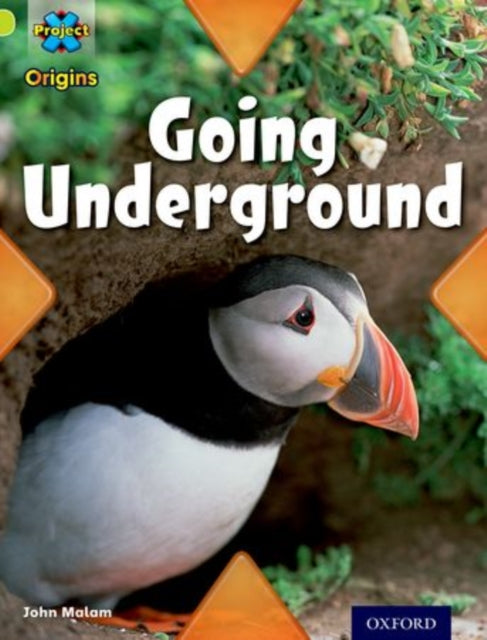 Project X Origins: Lime Book Band, Oxford Level 11: Underground: Going Underground-9780198302469