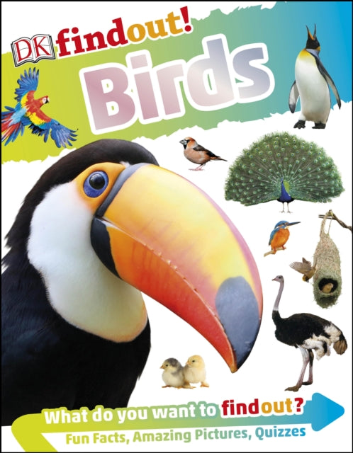 DKfindout! Birds-9780241358474