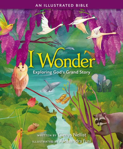I Wonder: Exploring God's Grand Story : an Illustrated Bible-9780310768302