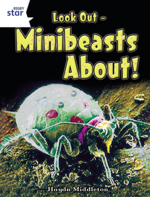 Rigby Star Independent Year 2 Non Fiction: Tiny Creatures-9780433034650