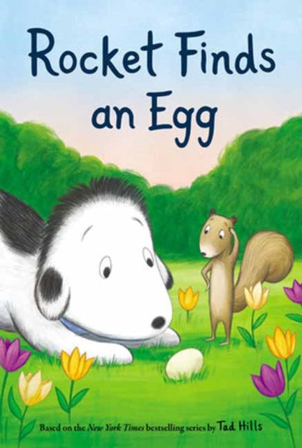 Rocket Finds an Egg-9780593181270