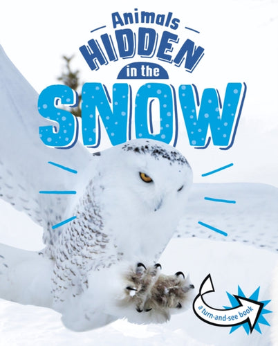 Animals Hidden in the Snow-9781398242524