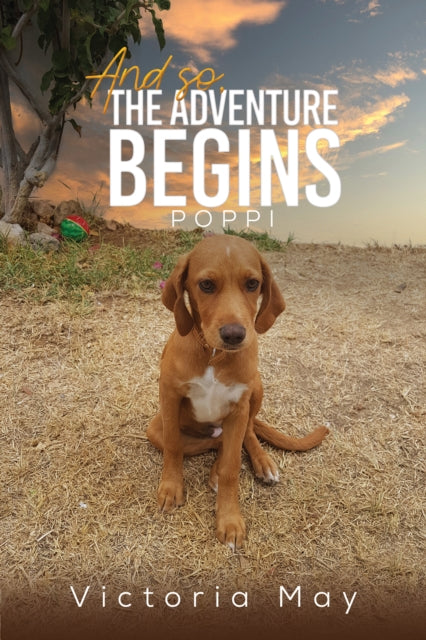 And so, the Adventure Begins-9781398404700