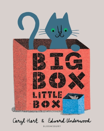 Big Box Little Box-9781408872789