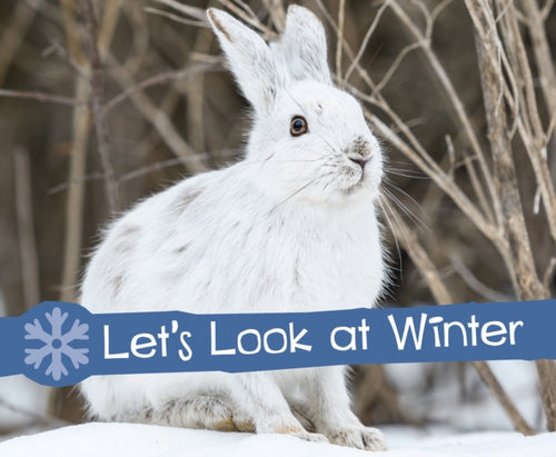 Let's Look at Winter-9781474756631