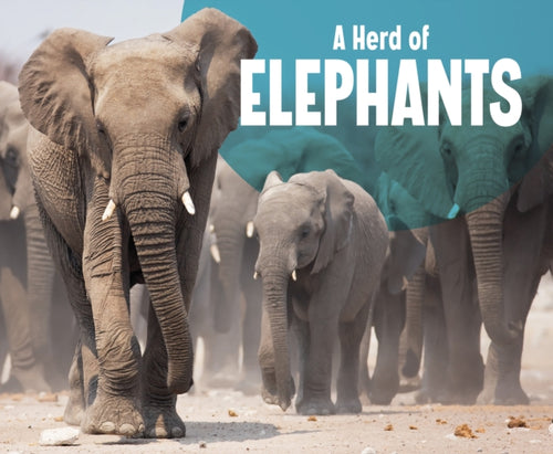 A Herd of Elephants-9781474785327