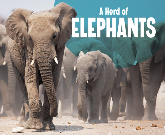 A Herd of Elephants-9781474785327