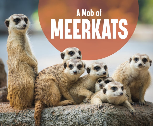 A Mob of Meerkats-9781474785334