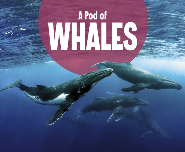 A Pod of Whales-9781474785358