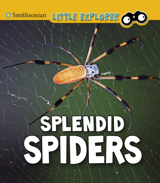 Splendid Spiders-9781474794633