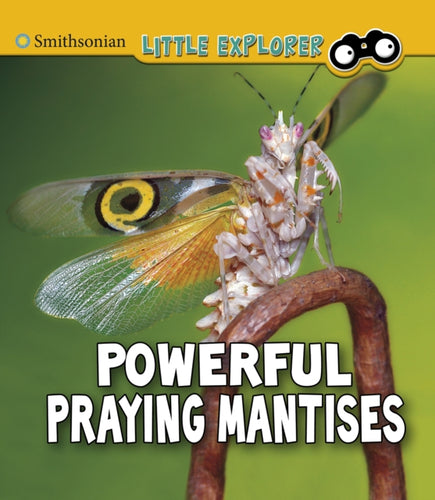 Powerful Praying Mantises-9781474794756