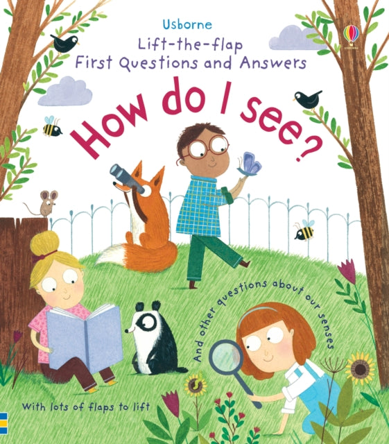 First Questions and Answers: How do I see?-9781474917926