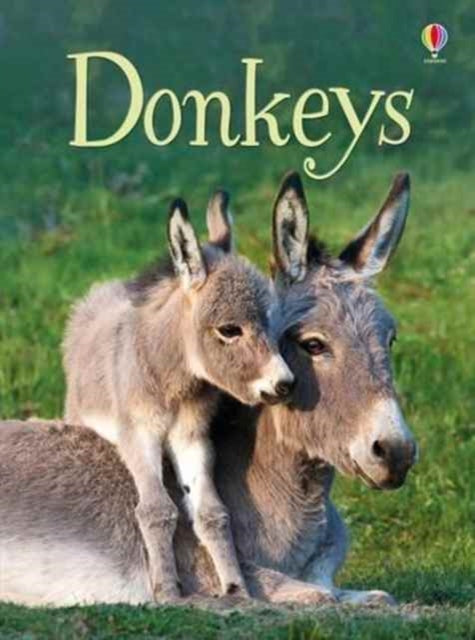 Donkeys-9781474921817