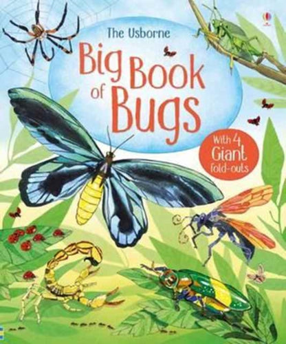 Big Book of Bugs-9781474928960