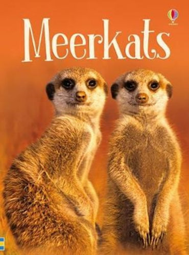 Meerkats-9781474941013