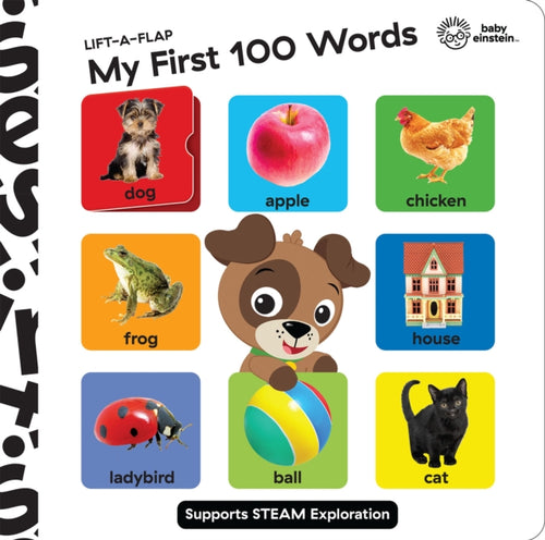 MY FIRST 100 WORDS LIFT A FLAP-9781503758926