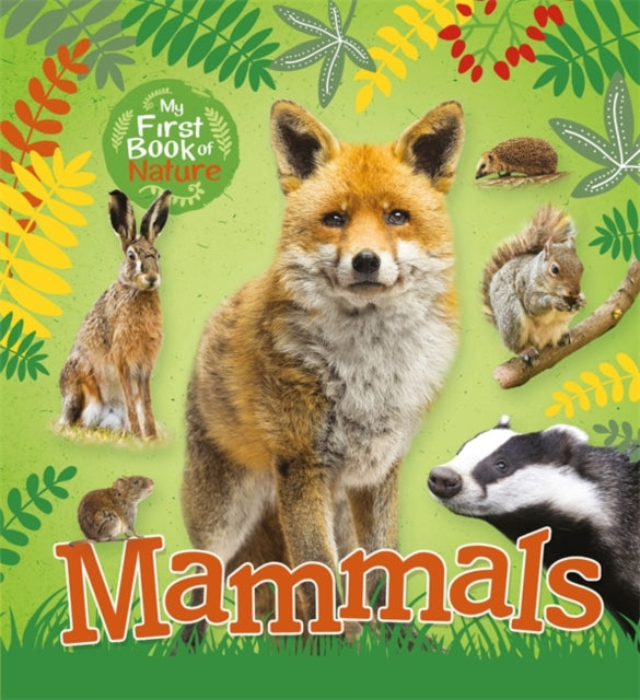 My First Book of Nature: Mammals-9781526301482