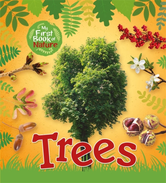 My First Book of Nature: Trees-9781526301567