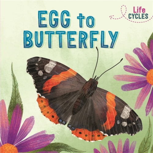 Life Cycles: Egg to Butterfly-9781526310224