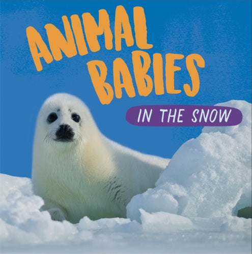 Animal Babies: In the Snow-9781526314420