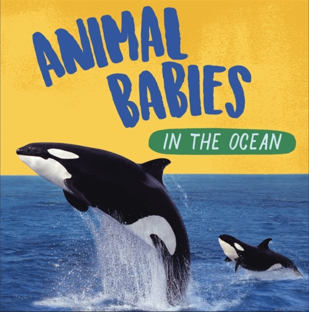 Animal Babies: In the Ocean-9781526314512