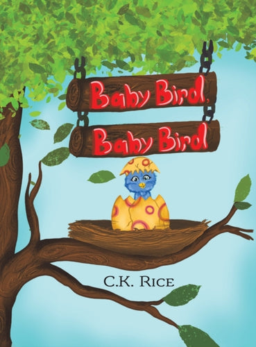 BABY BIRD BABY BIRD-9781649790057