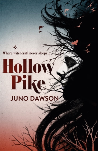 Hollow Pike-9781780621289
