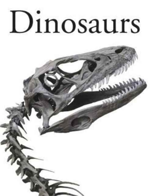 Dinosaurs-9781782745419