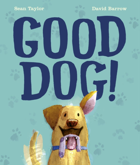 Good Dog!-9781786037268