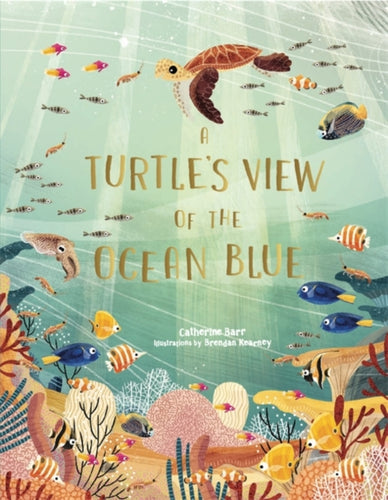 A Turtle's View of the Ocean Blue-9781786279095