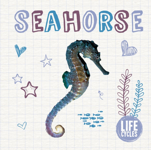 Seahorse-9781786373809