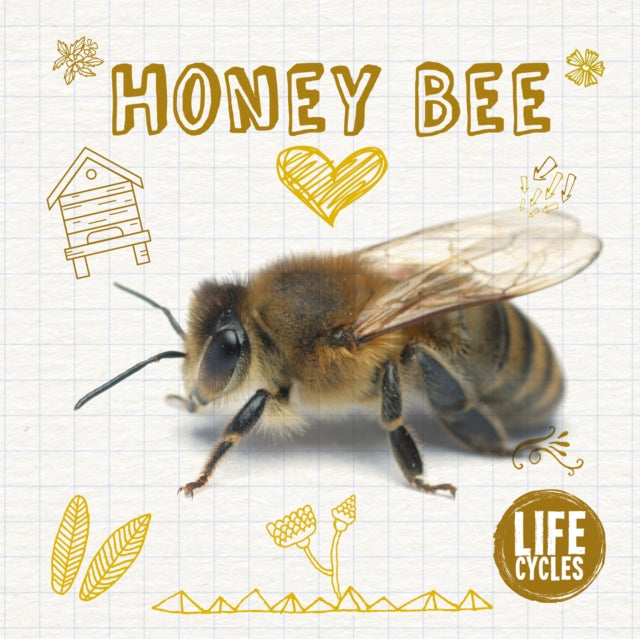 Honey Bee-9781786376299