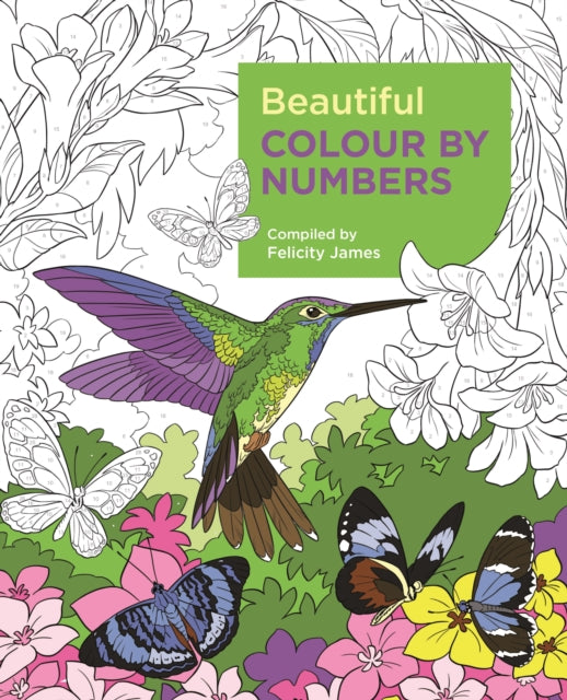 Beautiful Colour by Numbers-9781788887687