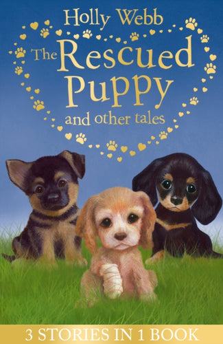 The Rescued Puppy and Other Tales : The Rescued Puppy, The Lost Puppy, The Secret Puppy-9781788950473