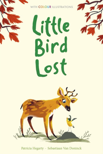 Little Bird Lost-9781788951173